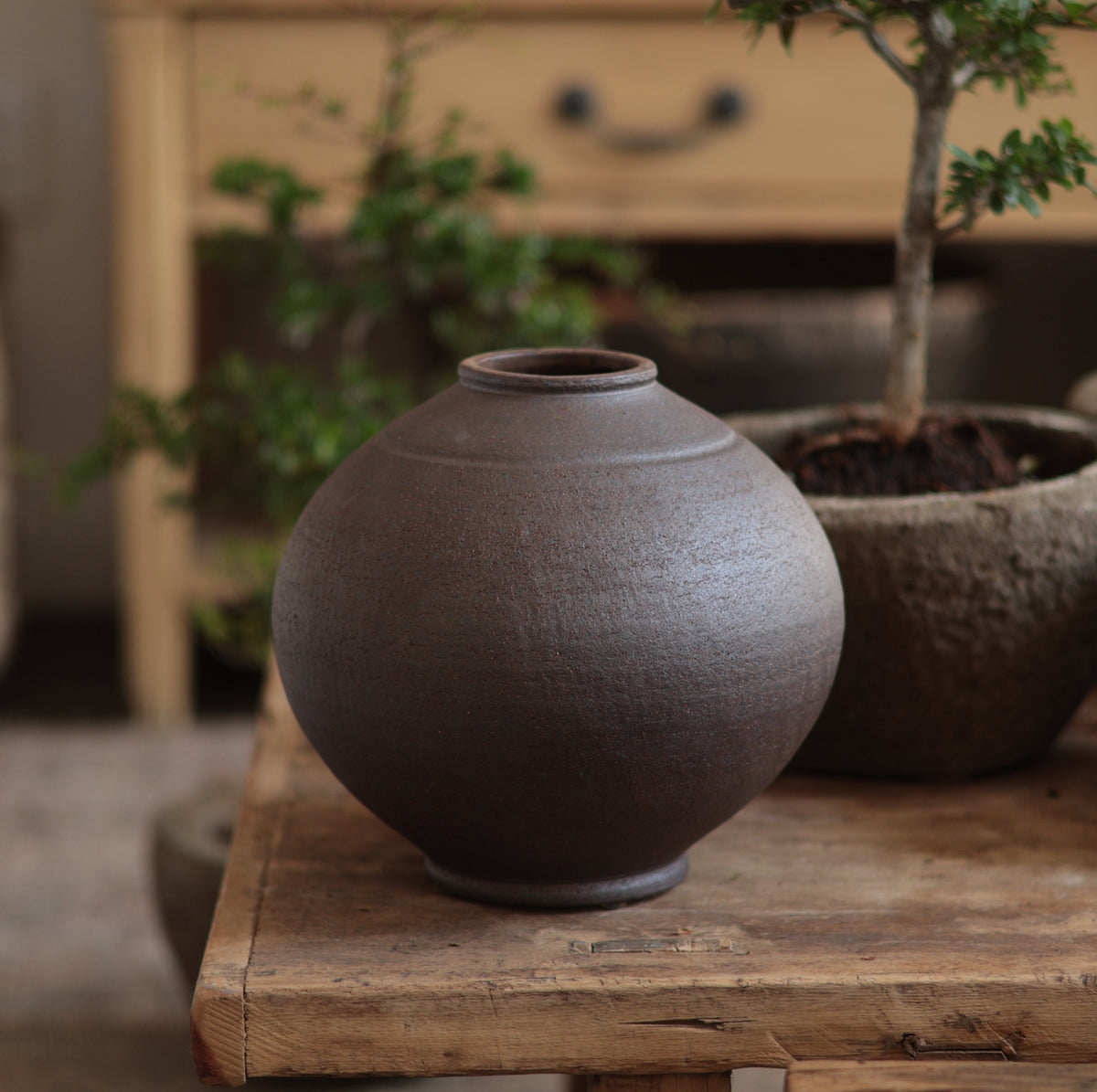 Dark Brown - Vase 3