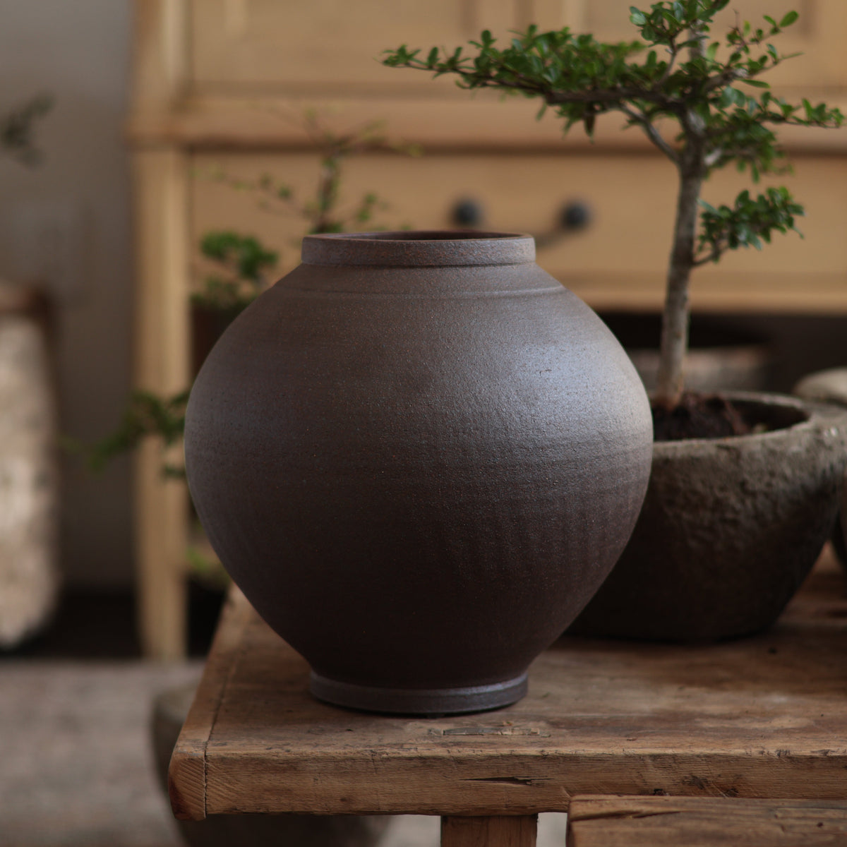 Dark Brown - Vase 2
