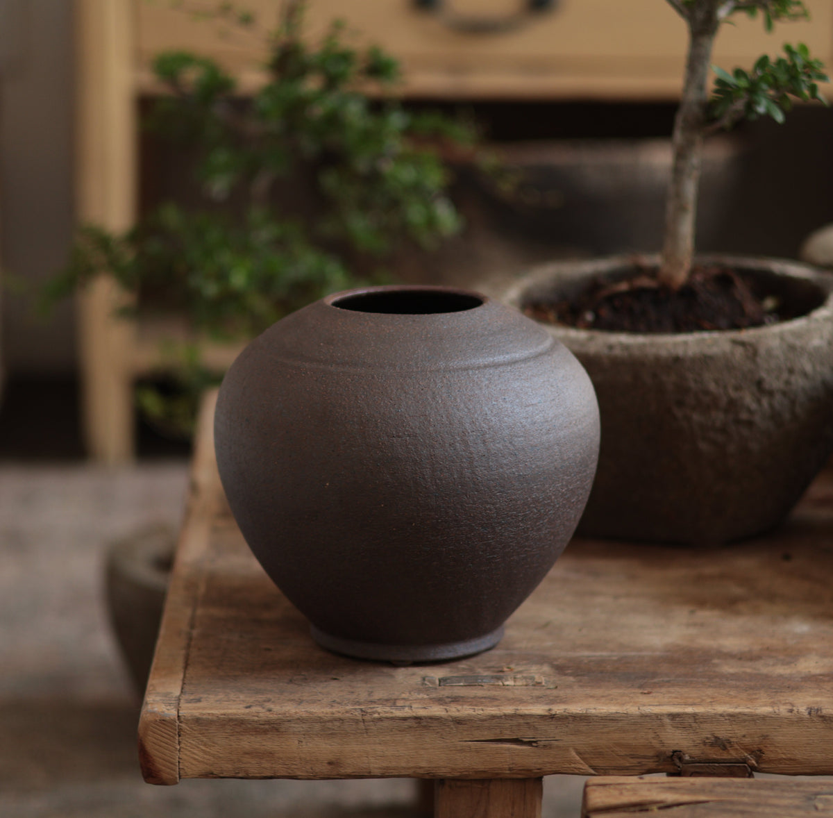 Dark Brown - Vase 4