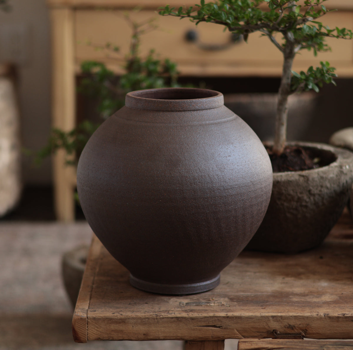 Dark Brown - Vase 2
