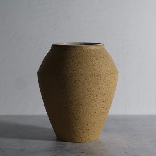 Speckled Vase 5