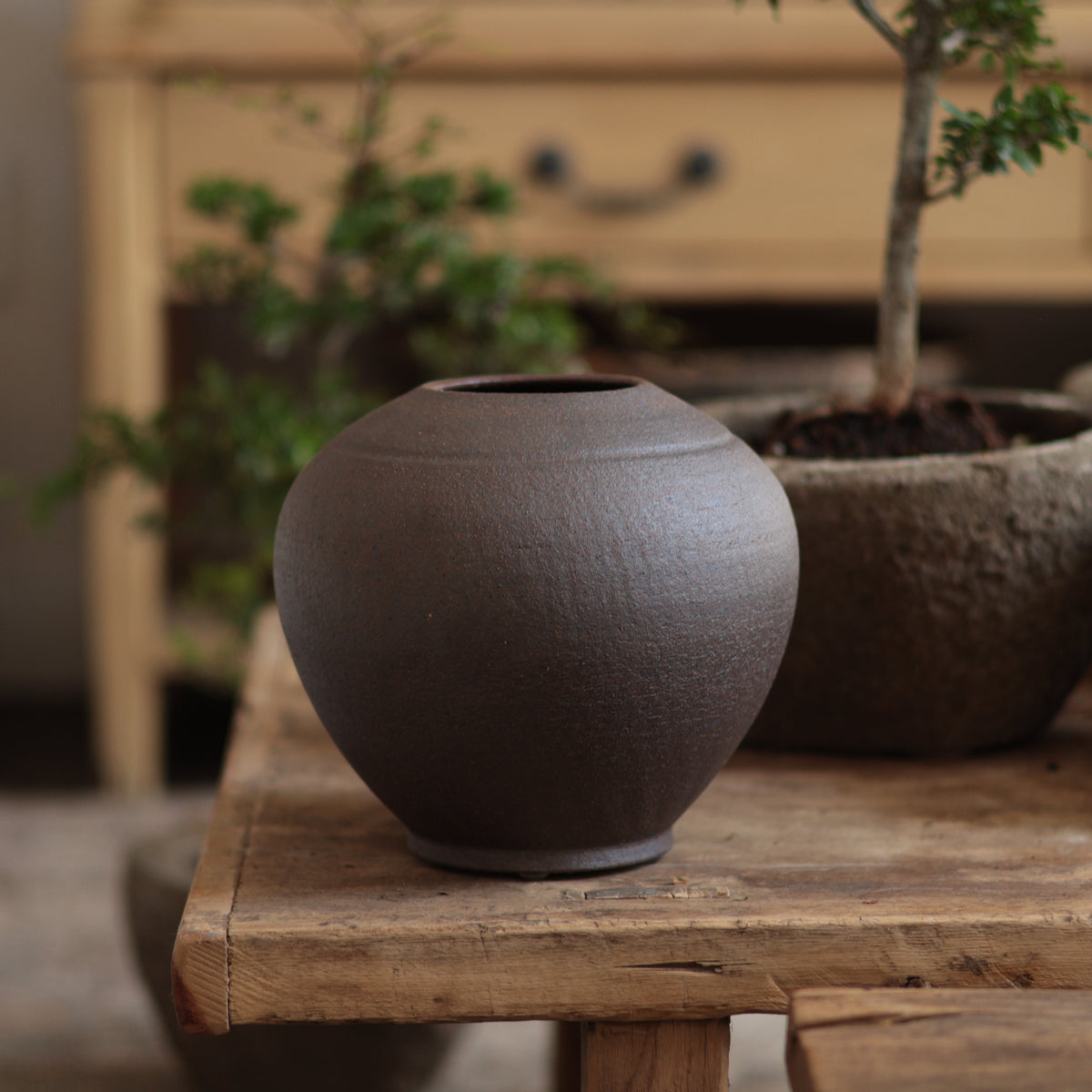 Dark Brown - Vase 4