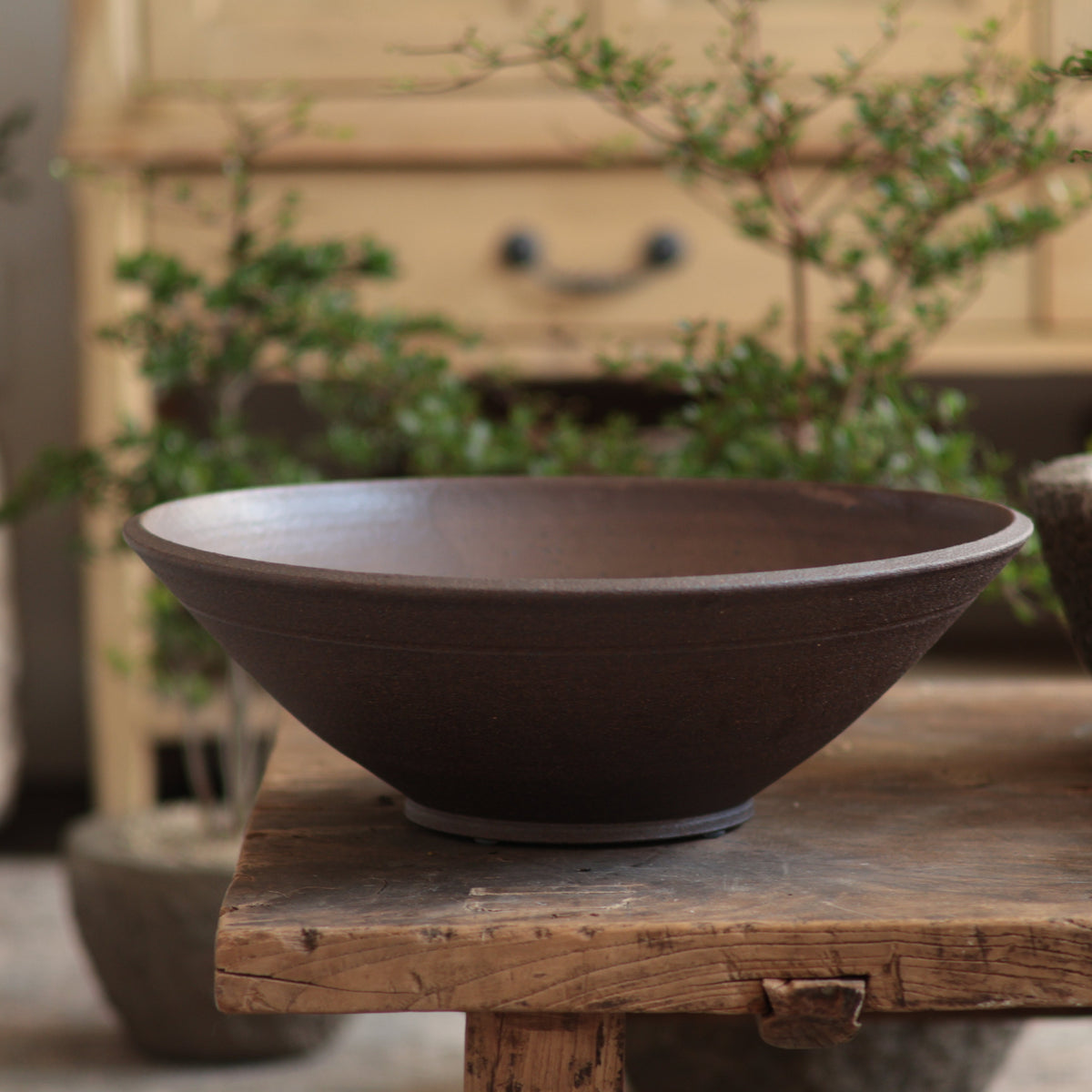 Dark Brown - Bowl