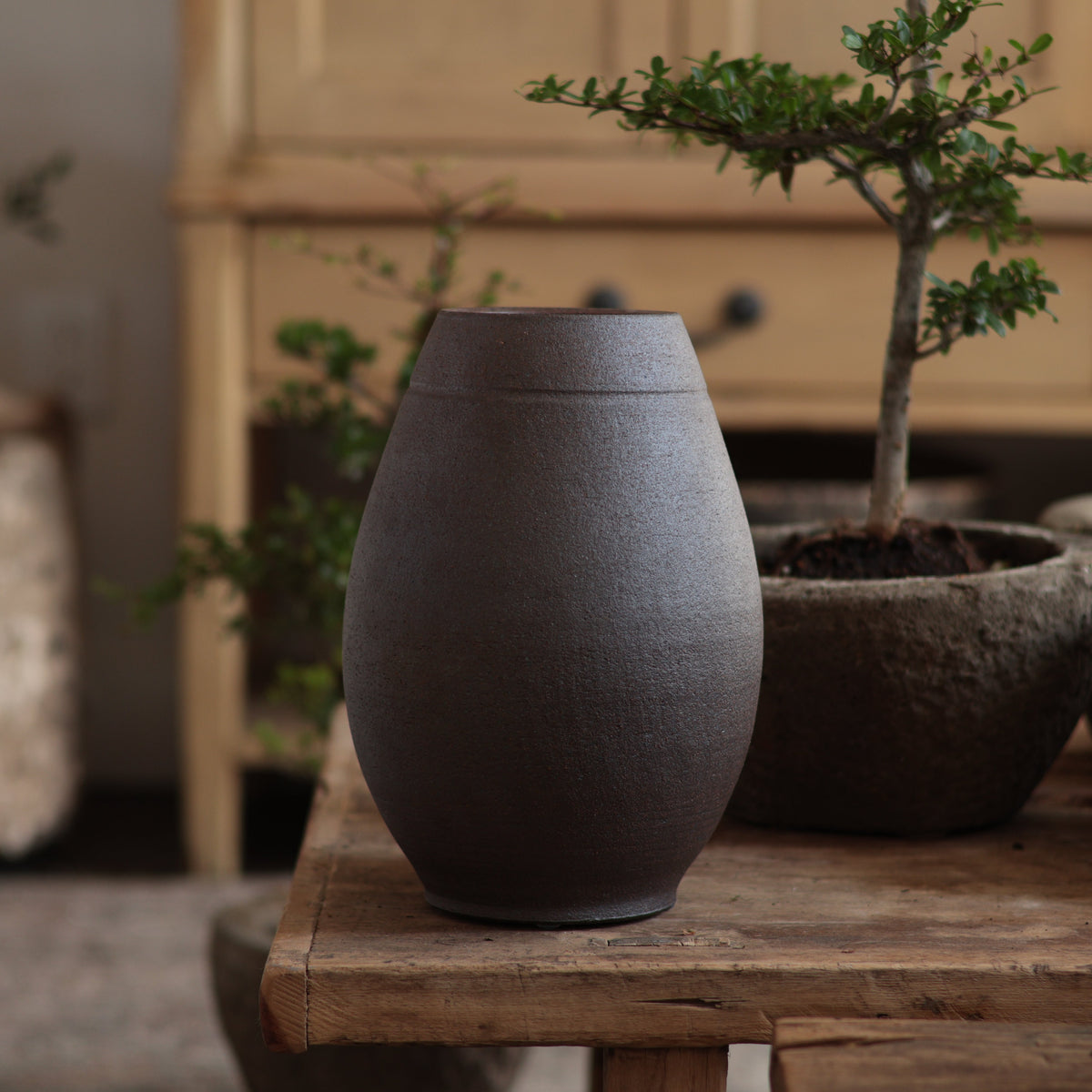 Dark Brown - Vase 6