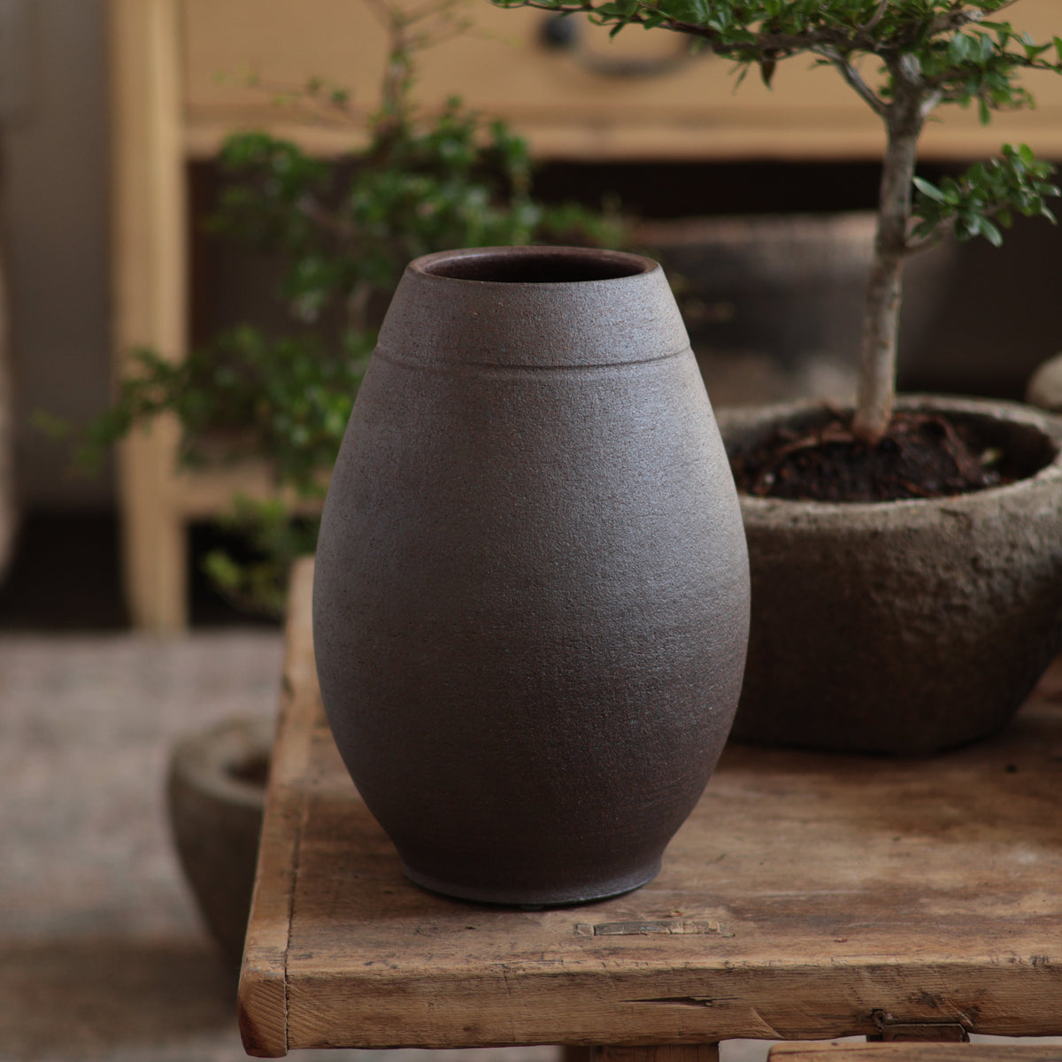 Dark Brown - Vase 6