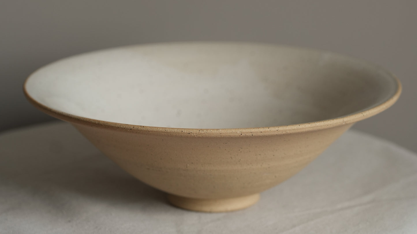 Speckled Bowl 1