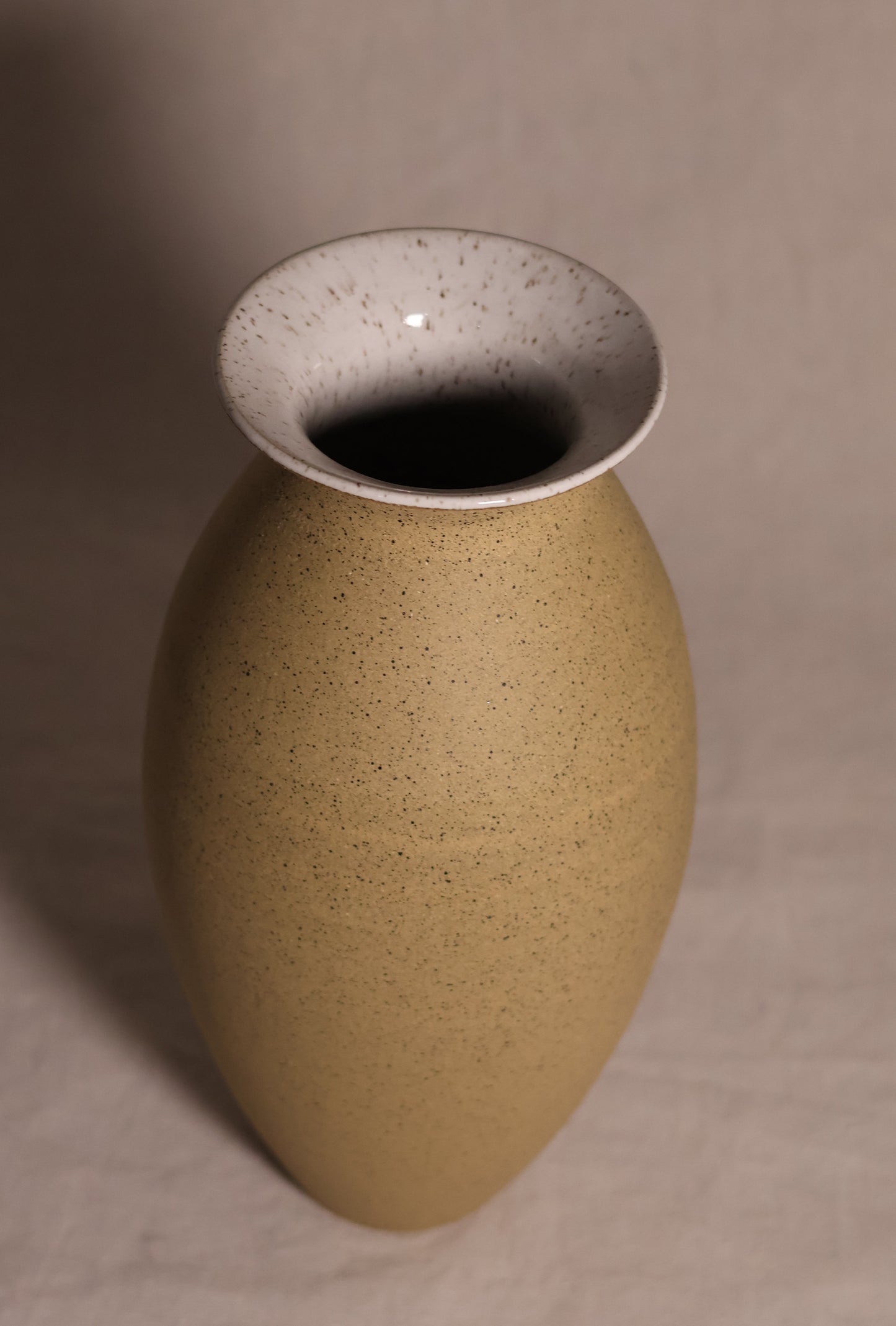 Speckled Vase 1